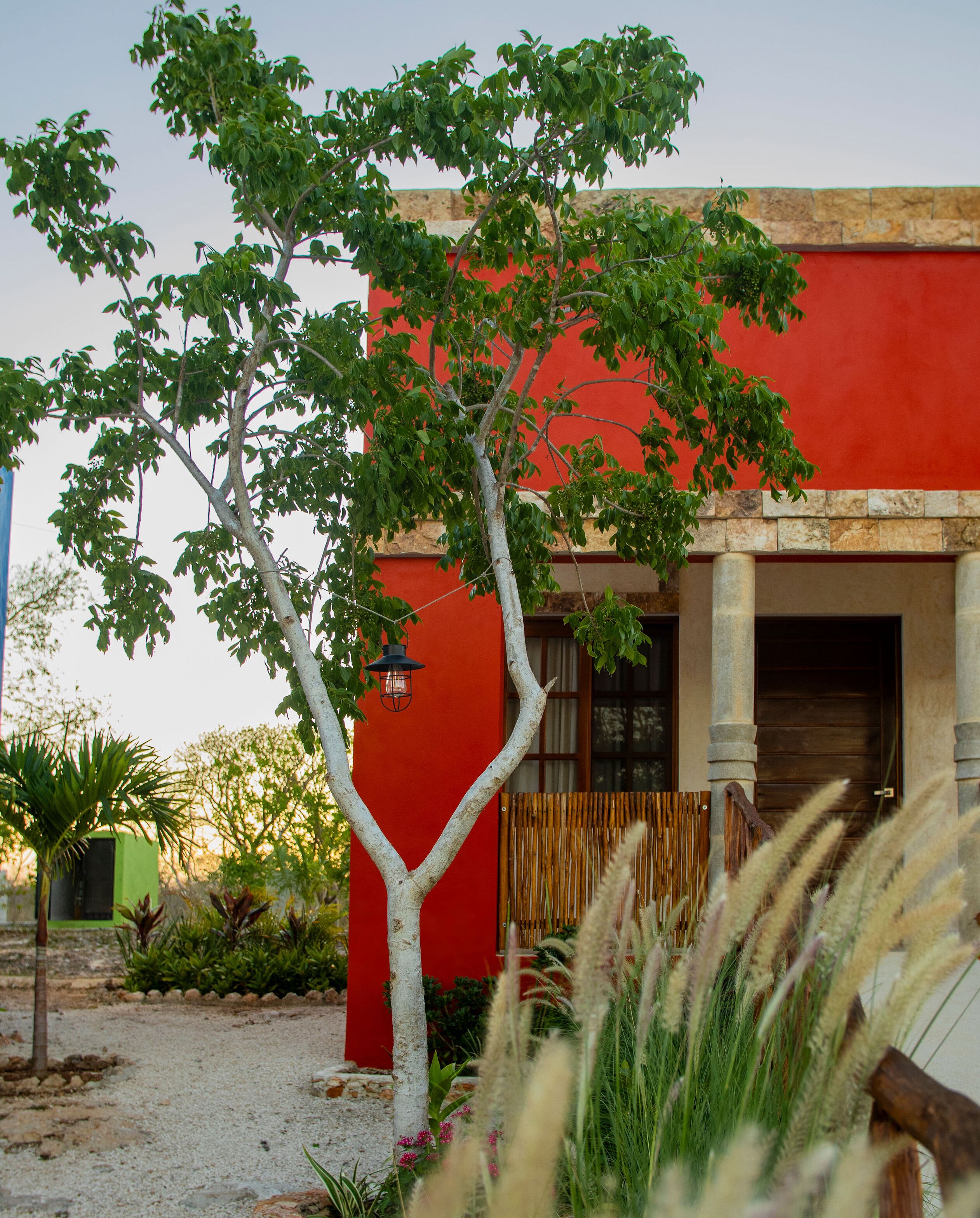 A red building with a white tree in the foreground.