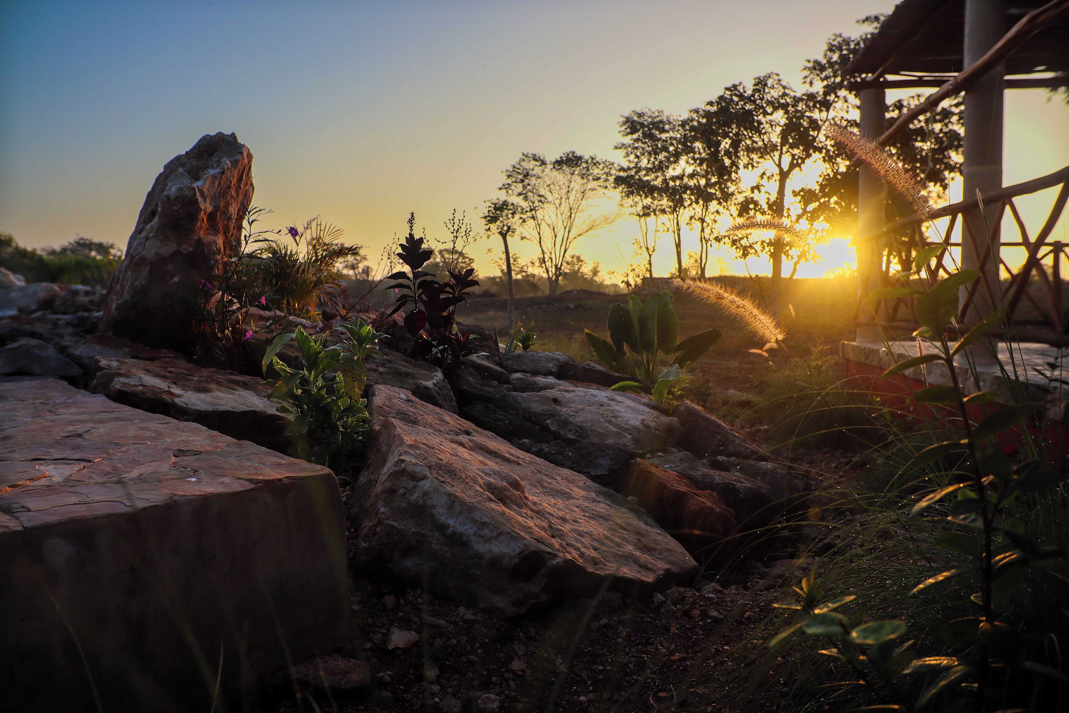 Comfort Quadruple Room, Pool View | Living area