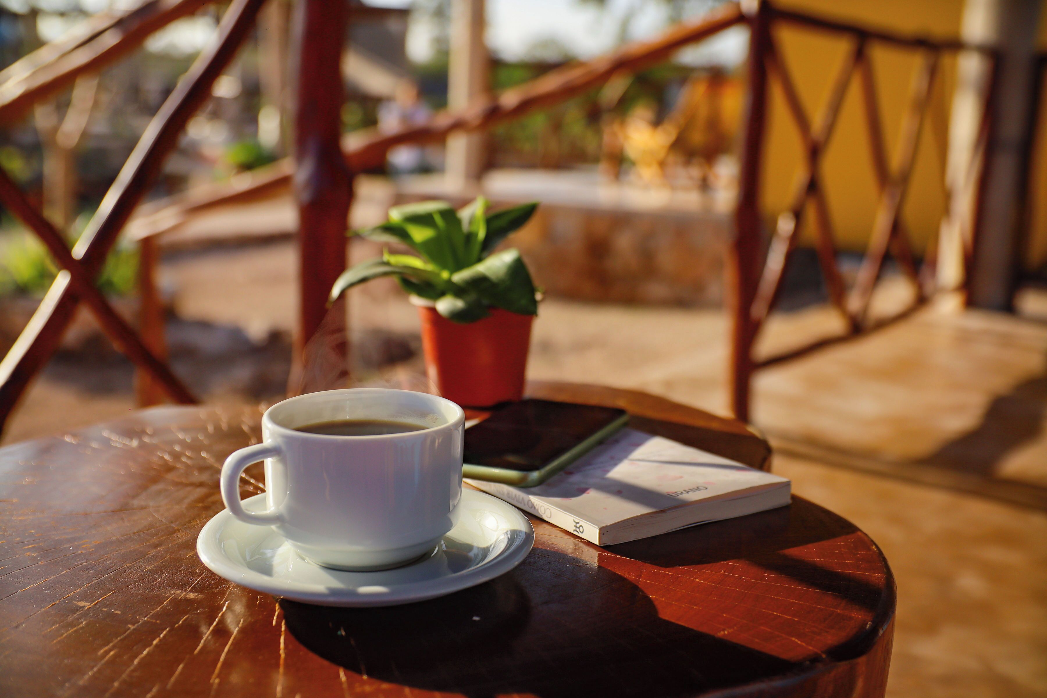 A white cup of coffee on a saucer, a book, and a potted plant on a wooden table outdoors.