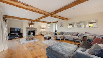 House | Living area | TV, fireplace
