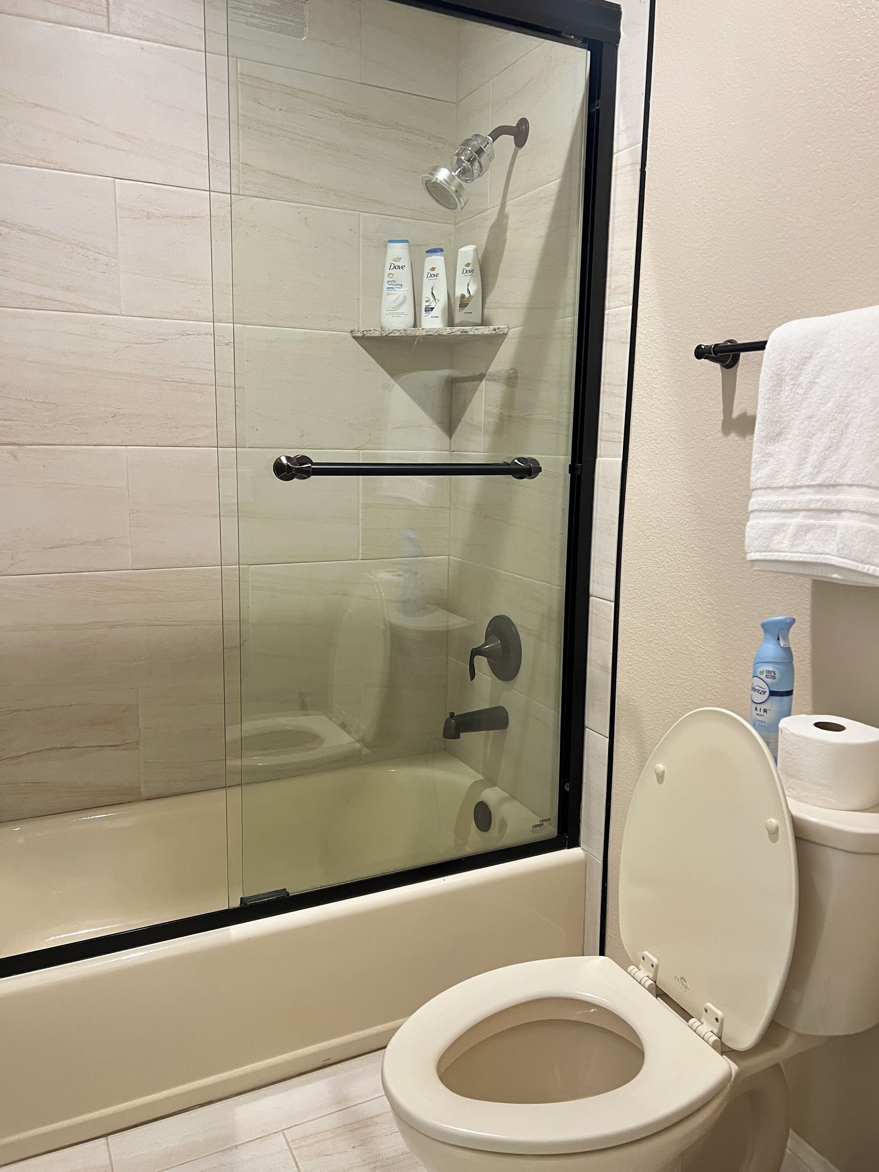 Secadora de cabello, toallas, jabón, shampoo 