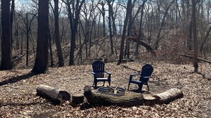 A campsite with two chairs and a fire pit surrounded by logs and trees.
