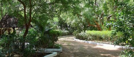 Enceinte de l’hébergement