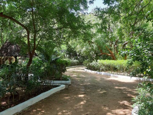 Comfortable Serene  Tranquil Retreat