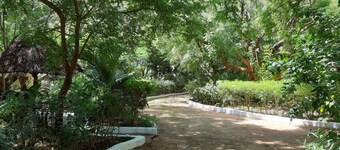 Comfortable Serene Tranquil Retreat