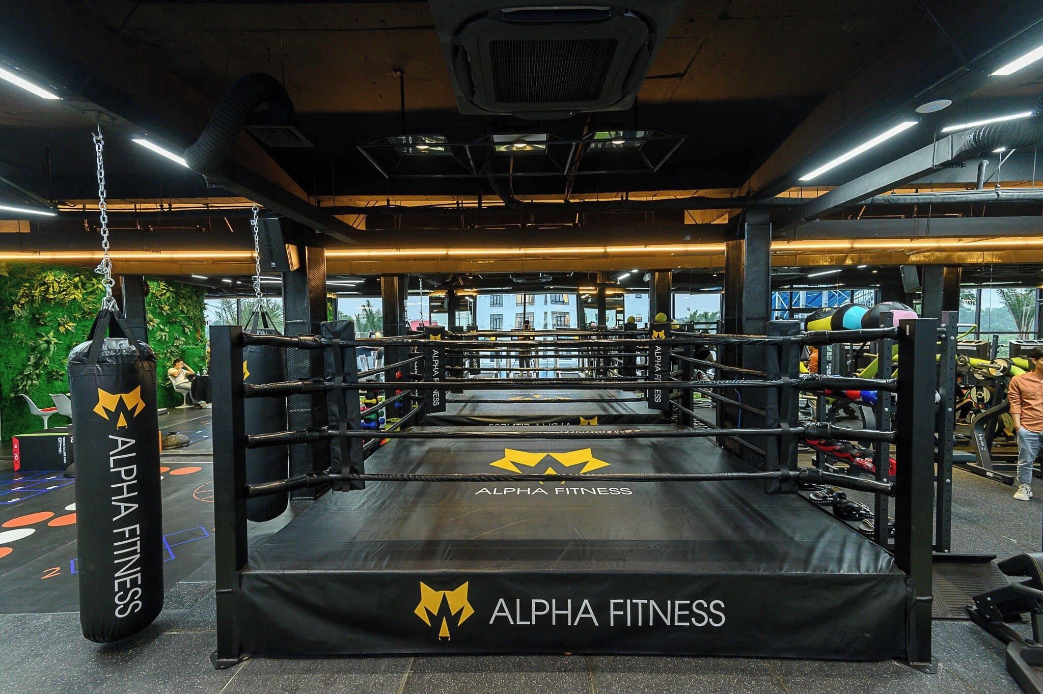 A boxing ring with "ALPHA FITNESS" branding, surrounded by gym equipment and a punching bag.