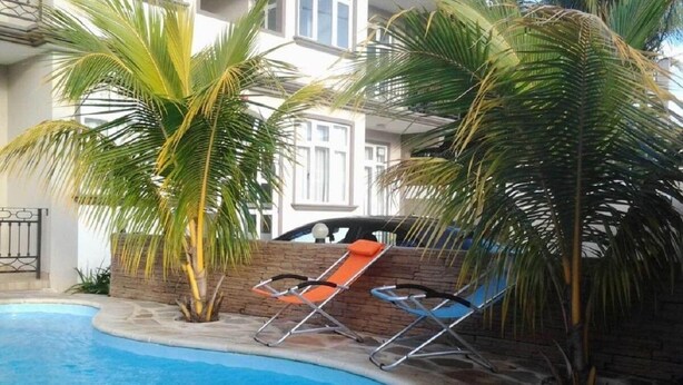 En swimmingpool med to liggestole og palmer.