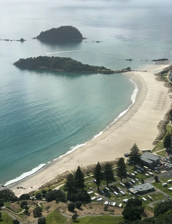 On the beach - The greenhouse on Muricata Ave 🌱 (Mount Maunganui)