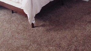 Una cama bien hecha con estructura de madera, una mesita de noche blanca y una pequeña mesilla.
