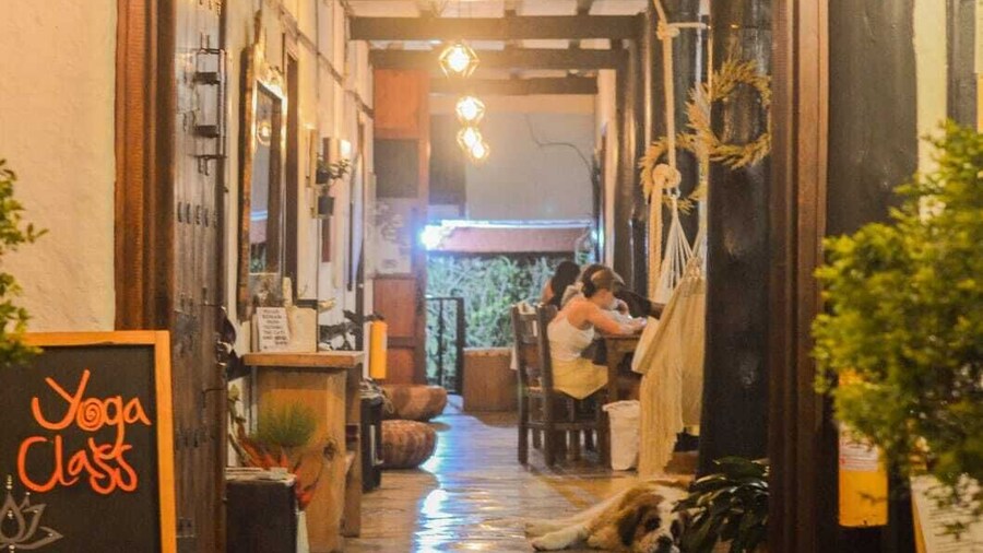 Coffee Tree Boutique Hostel