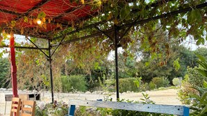 An outdoor patio with a blue table, a grill, and a red-roofed shelter. - CORAZON RESORT (Minamidaito)