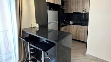 Family Apartment, Mountain View
