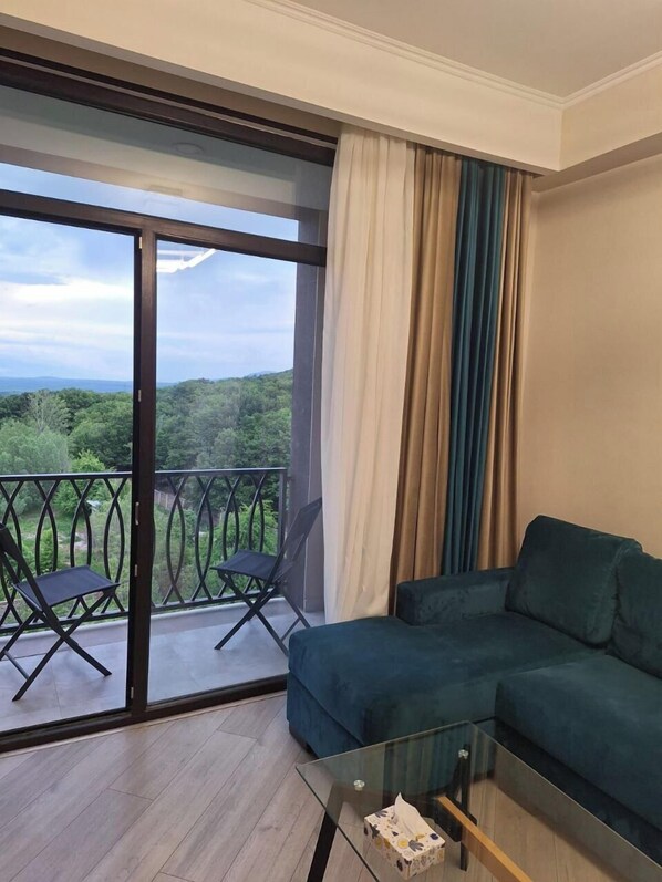 Family Apartment, Mountain View