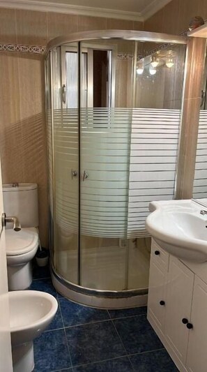 Shower, hair dryer, bidet, towels