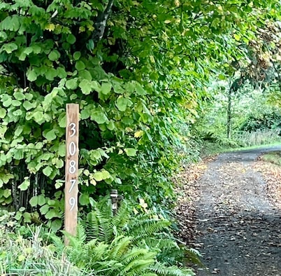 Charming Cottage In Gorgeous St Helens
Frog’s Hollow Is Family & Pet Friendly 