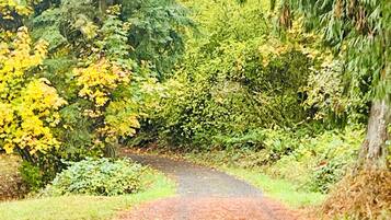 A narrow, unpaved path surrounded by dense foliage and trees.