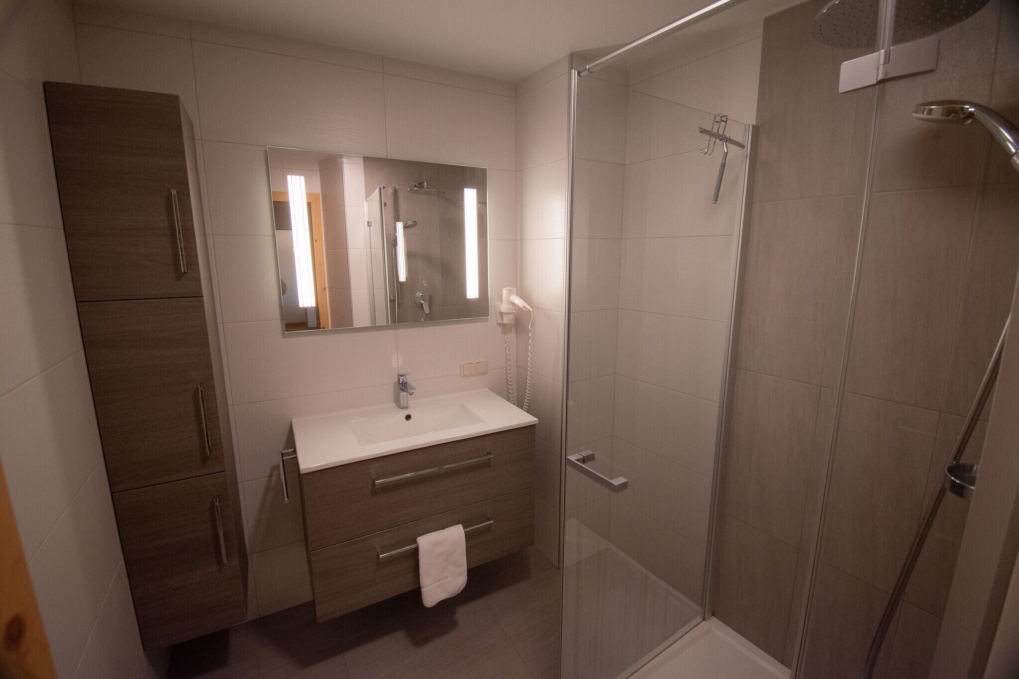 Shower, hair dryer, towels