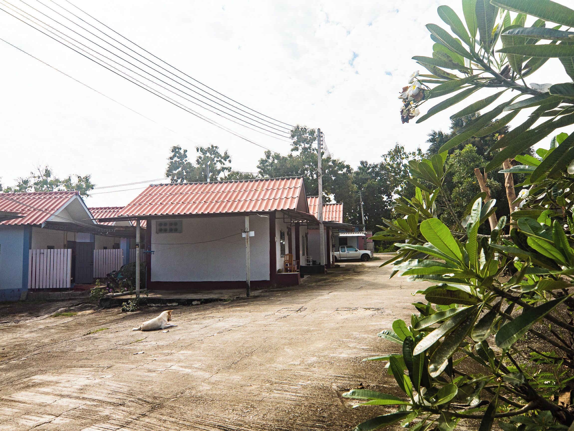 A rural setting with a dirt road, a white truck, and a small building with a red roof.