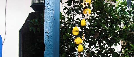 A blue column with water droplets, a yellow hanging ornament, and a tree with green leaves.