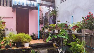 วิวสวน