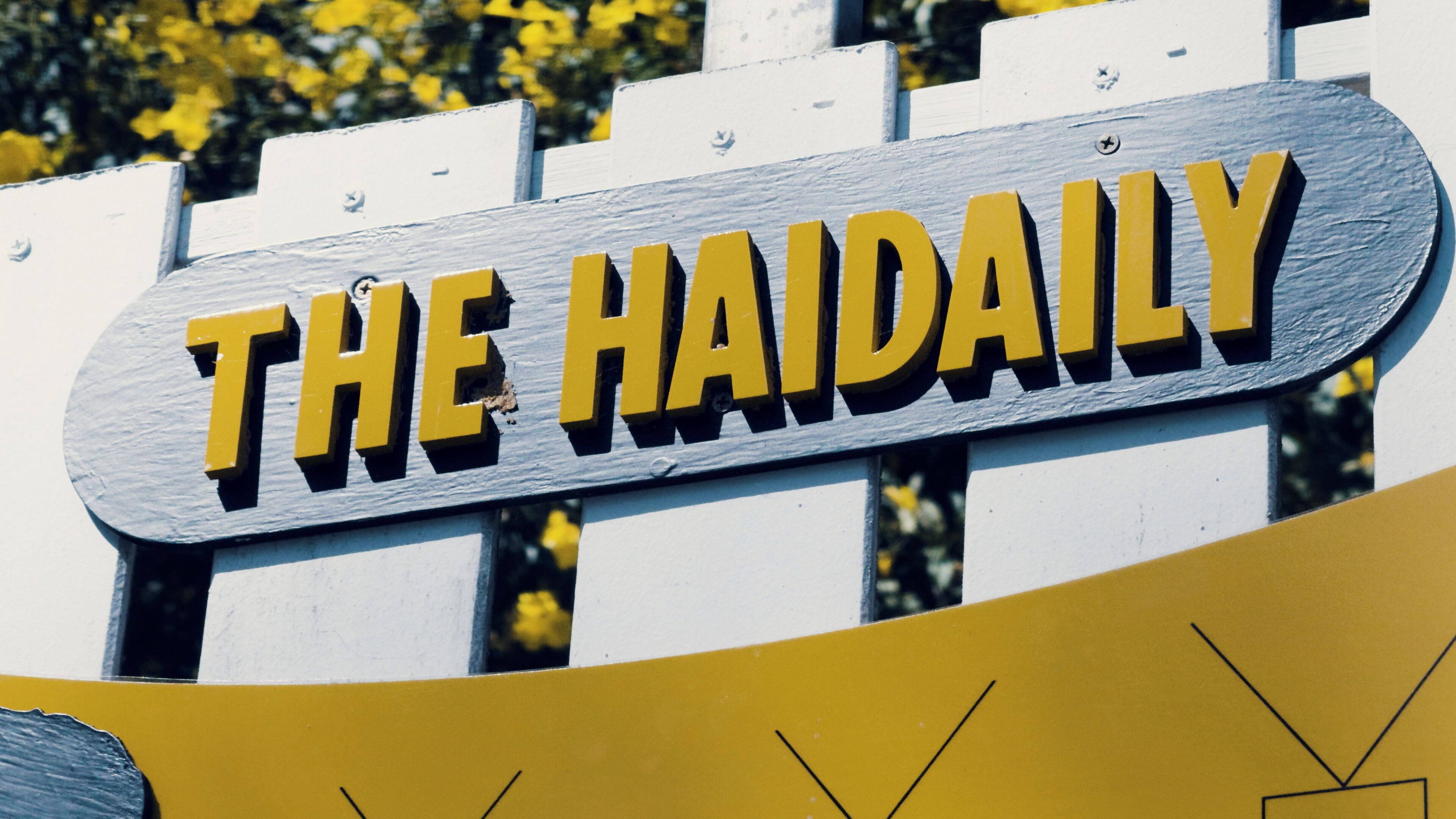 Un letrero con el texto 'THE HAIDAILY'.