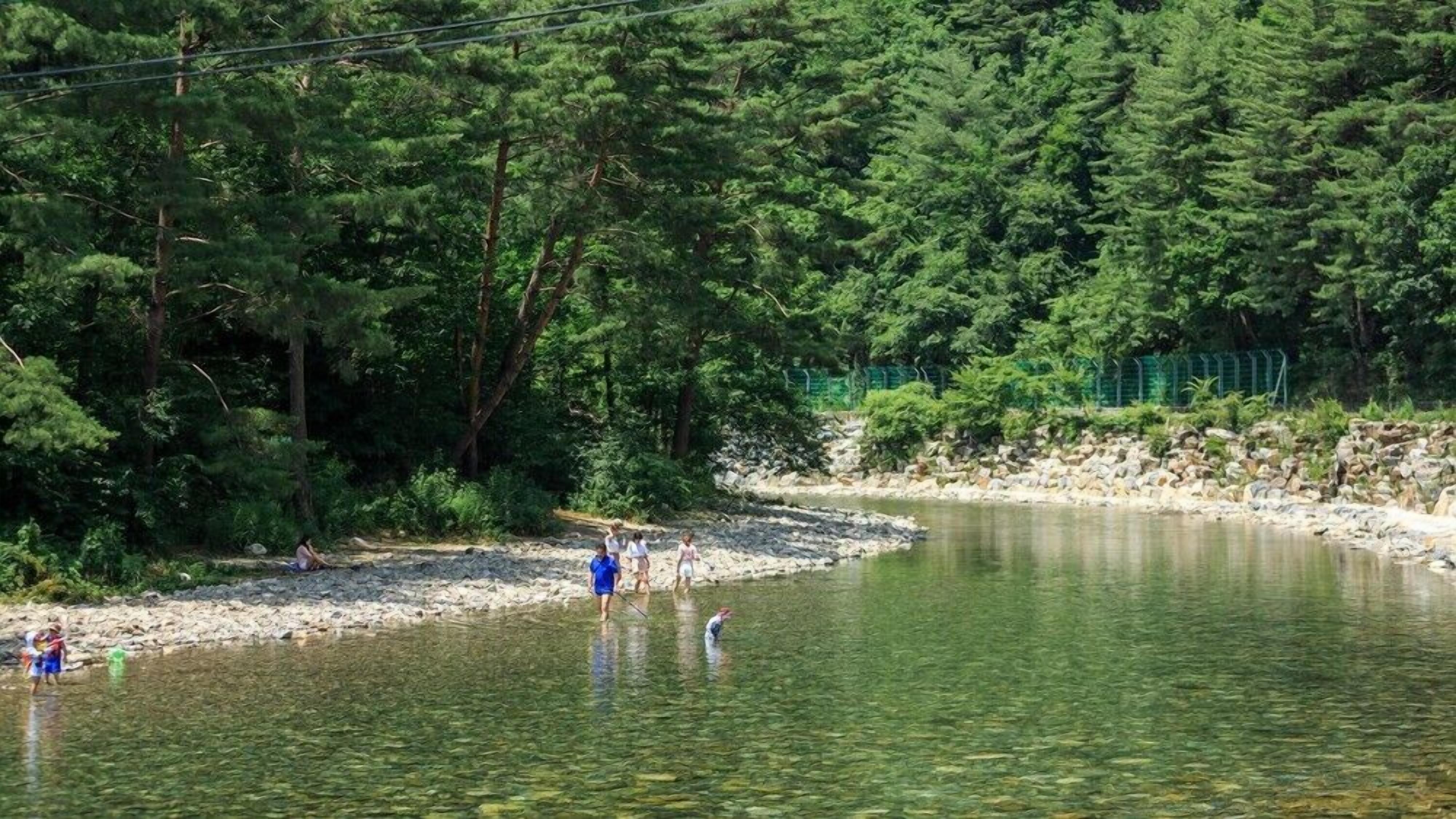 Une rivière aux eaux claires, bordée d’une forêt dense et d’une rive rocheuse.