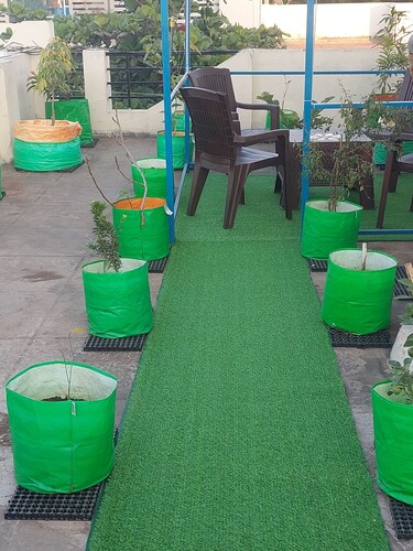 Home Stay with Sanjeev: 2-bedroom house in enchanting Indore with AC, WiFi