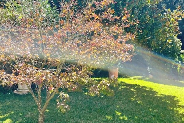 Beautifully maintained garden with lush trees and shrubs, watered by an efficient irrigation system.