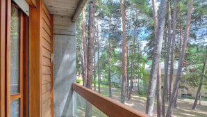 Standard Apart Daire, 3 Yatak Odası, Balkon (Lo Stambecco - Duplex for 8 people) | Balkon