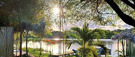 Blick auf den Garten