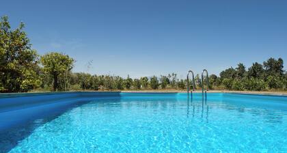 Tenuta San Calogero App. Laurel