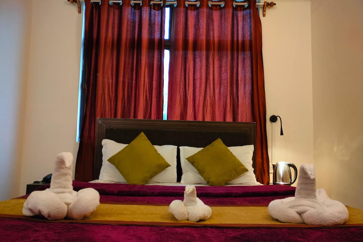 Habitación Deluxe | Wifi gratis