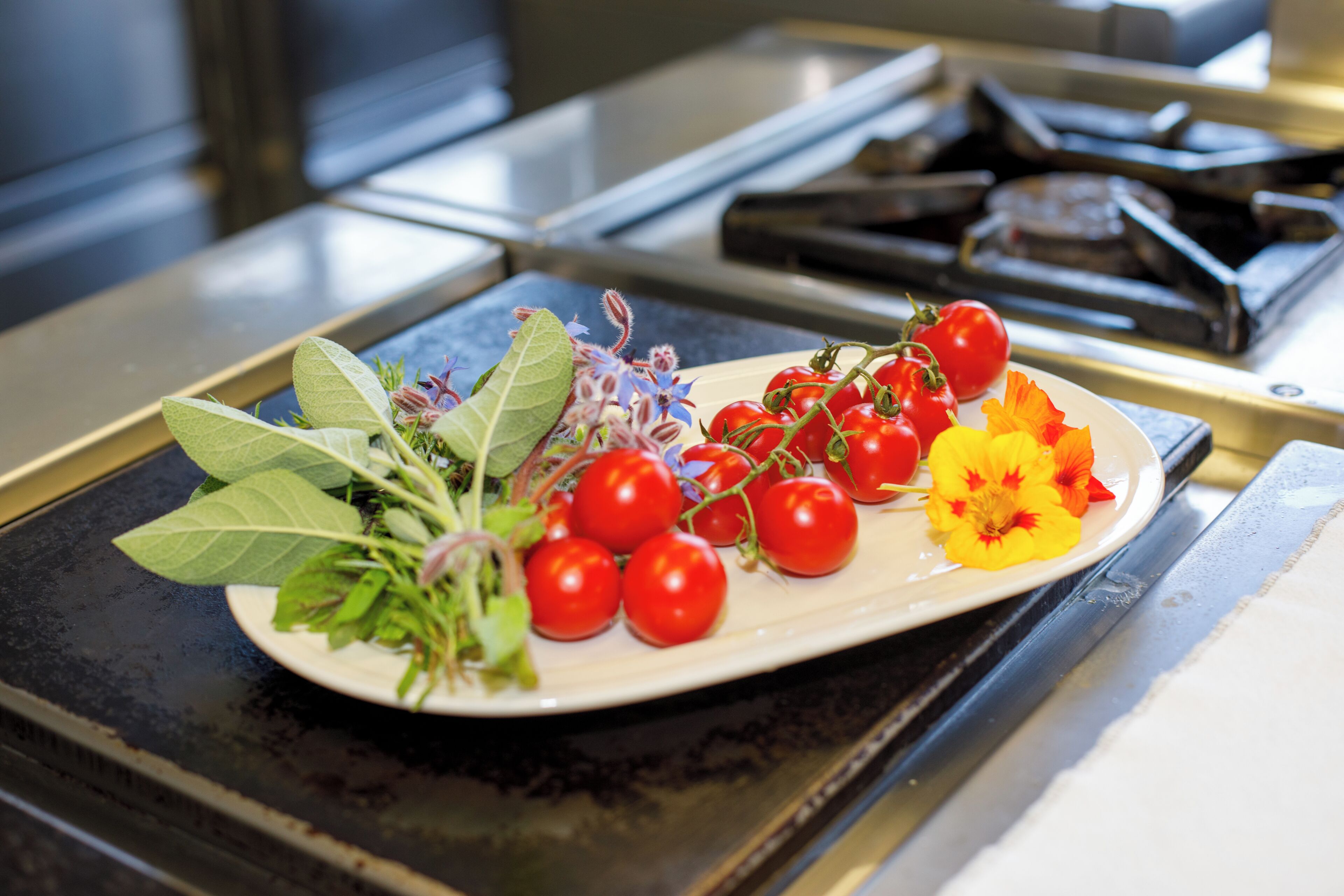 A kitchen counter with a plate of cherry tomatoes, herbs, and a flower.