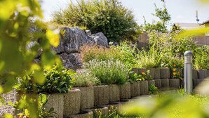 A garden with various plants and a stone wall.