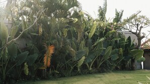 A lush garden with large tropical plants and a well-maintained lawn. - Seaside Oceana Resort by Mahaprana (Kubutambahan)