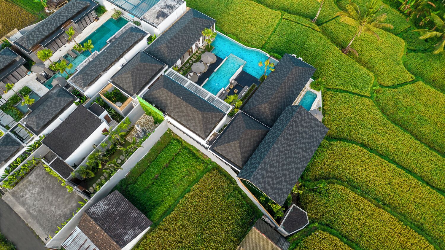 Cảnh từ trên cao