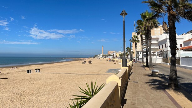 Une plage avec une promenade dallée bordée de palmiers et un lampadaire.
