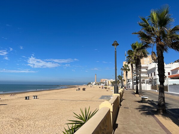 Ein Strand mit einem gepflasterten Weg, der von Palmen und einer Straßenlaterne gesäumt ist.