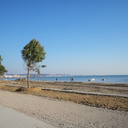 Esterni