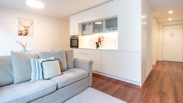 شقة إستديو سوبيريور | منطقة المعيشة