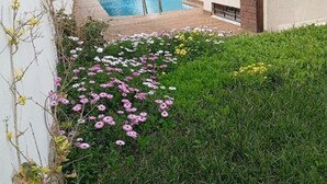 A residential area with a swimming pool, a garden with pink and white flowers, and a grassy area.