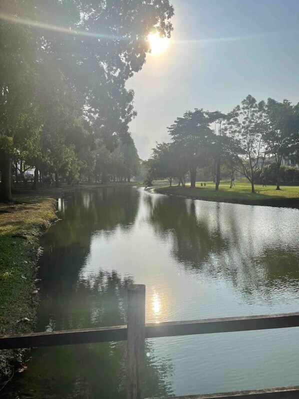 Un parque tranquilo con un estanque sereno, rodeado de árboles y una valla de madera.