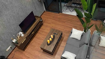 TV