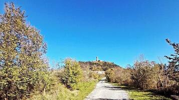 Ein Kiesweg führt zu einer Gebäudeanlage auf einem Hügel.