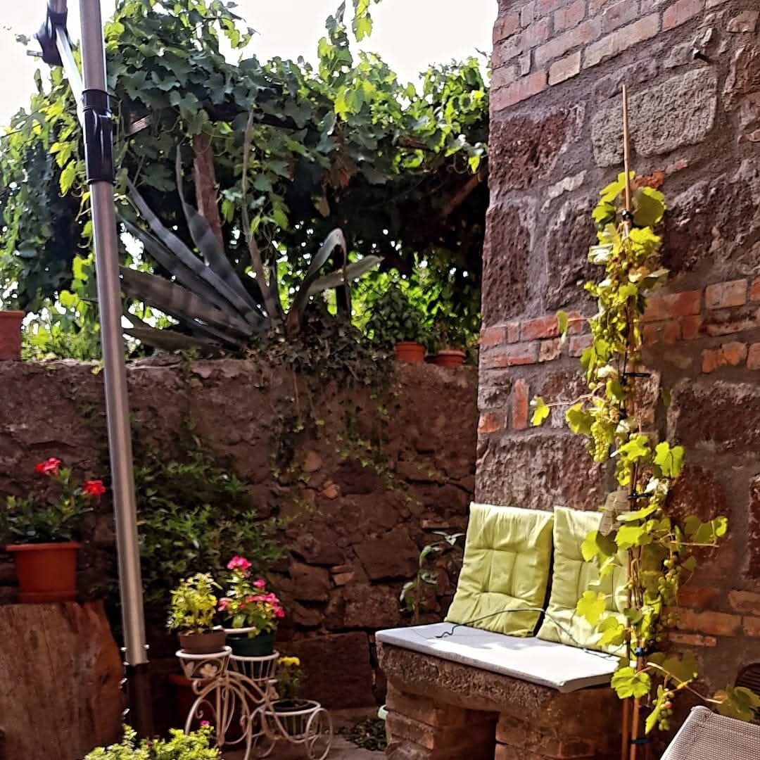 Ein rustikaler Sitzbereich im Freien mit Steinmauer, Kübelpflanzen und einer Pergola.