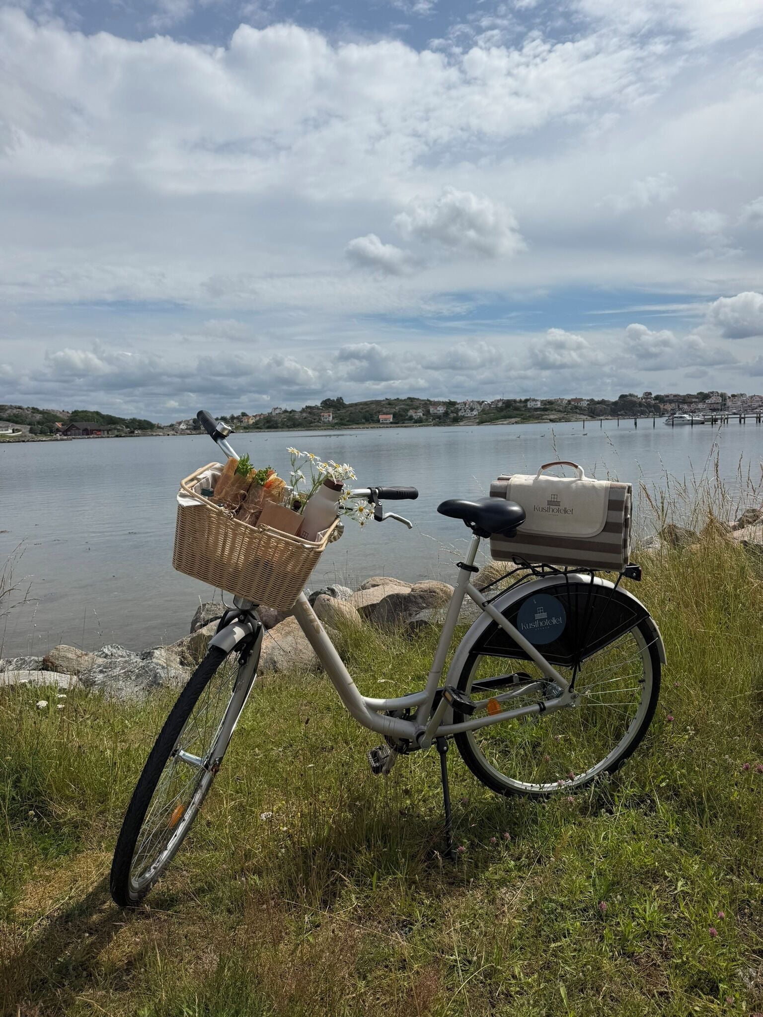 A stationary bicycle with a basket containing food items and a water bottle, parked on grass near a body of water with a distant shoreline.