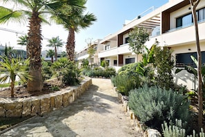 A residential building with a central pathway, surrounded by various plants and trees.