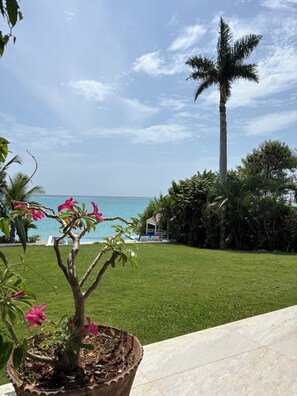 A well-maintained lawn with a view of the ocean and a tall palm tree. - Award-winning villa with private beachfront and pool (Culloden White House)
