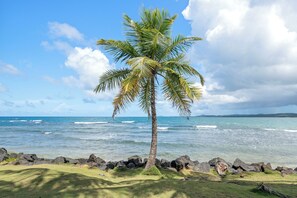 Beach - Beachfront studio sanctuary / 1B (Luquillo)