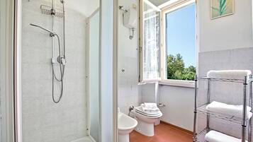 Shower, hair dryer, bidet, towels